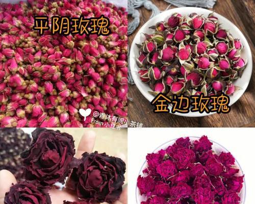 食用玫瑰的功效和作用有哪些