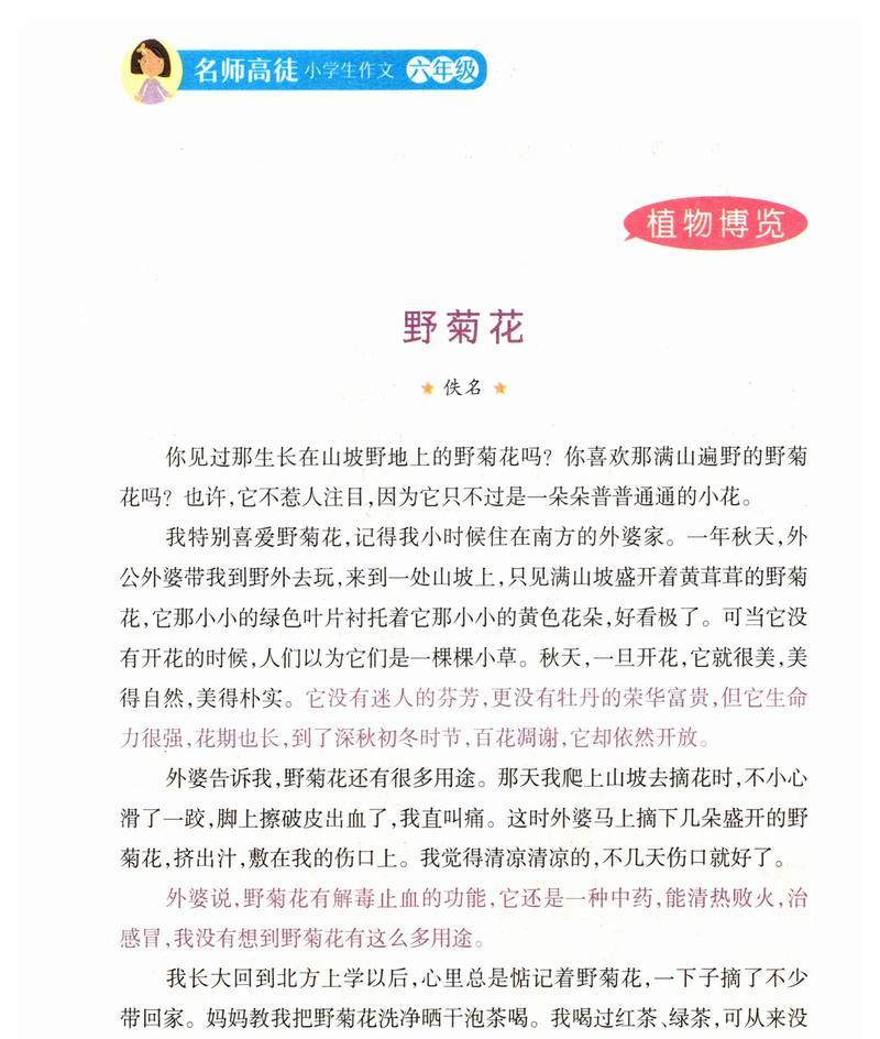 我最爱的菊花作文650字左右怎么写