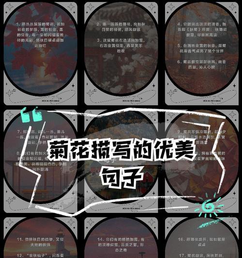 菊花优美片段300字说明文