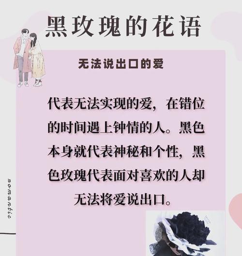手握黑玫瑰的含义是什么？图片能否提供更清晰的解释？