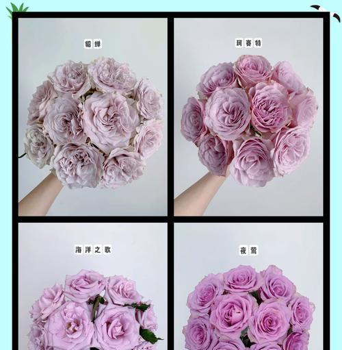 7朵紫玫瑰的花语是什么？