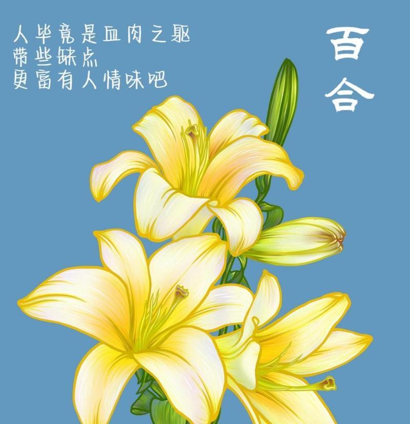 19支玫瑰加一朵百合有何含义？图片展示其花语？