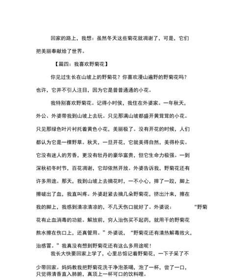 作文开头如何描述菊花？