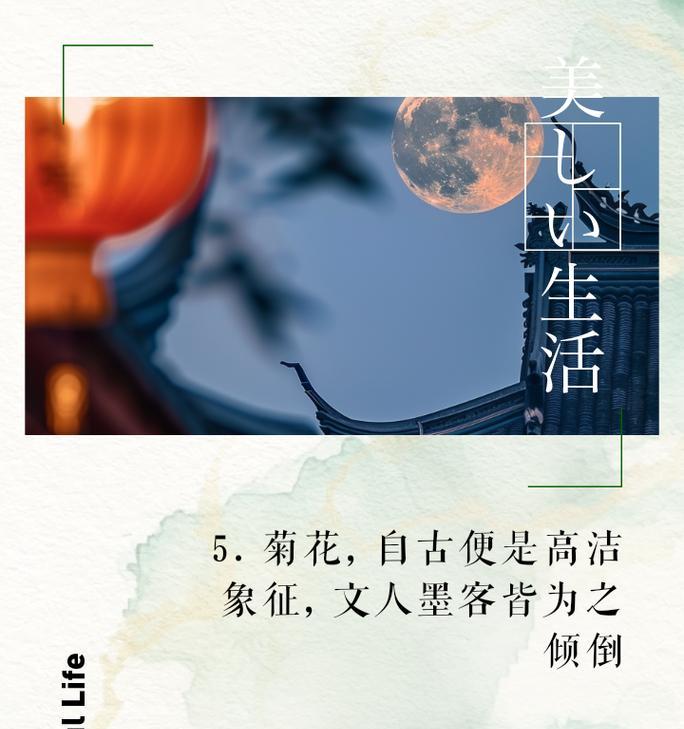 文人墨客如何赞美菊花？有哪些著名的句子或短句？