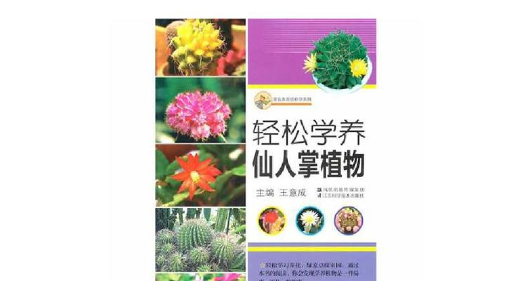 仙人植物怎么学？有哪些学习方法和技巧？