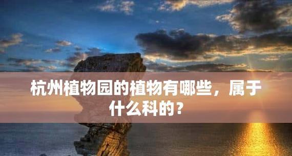 如何判断植物是否属于当地植物类型？有哪些识别方法？