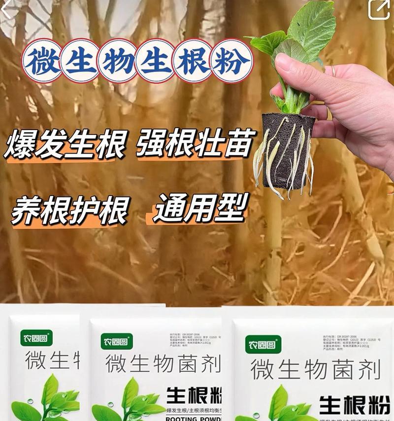 植物生根生长剂有哪些？它们的作用是什么？
