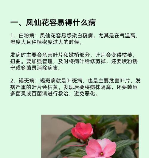 花卉出现白粉病的原因是什么？如何防治？