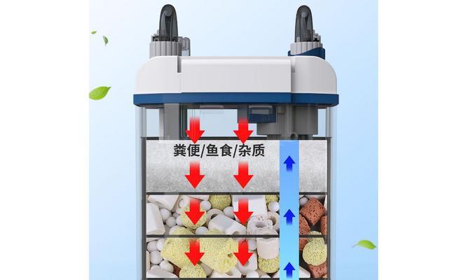 鱼缸中养植物如何过滤？过滤系统的选择与维护方法是什么？