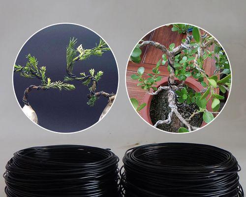 植物造型绳的正确绑法是什么？绑造型绳有哪些技巧？