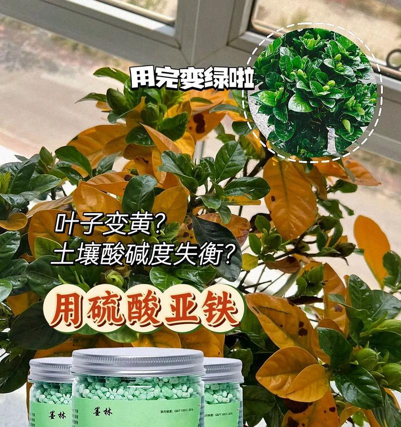 什么植物需要硫酸亚铁？硫酸亚铁对植物有何作用？