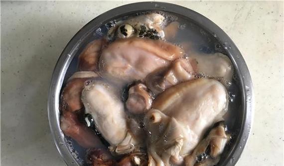 小草人植物浸泡时间需要多久？如何正确操作？