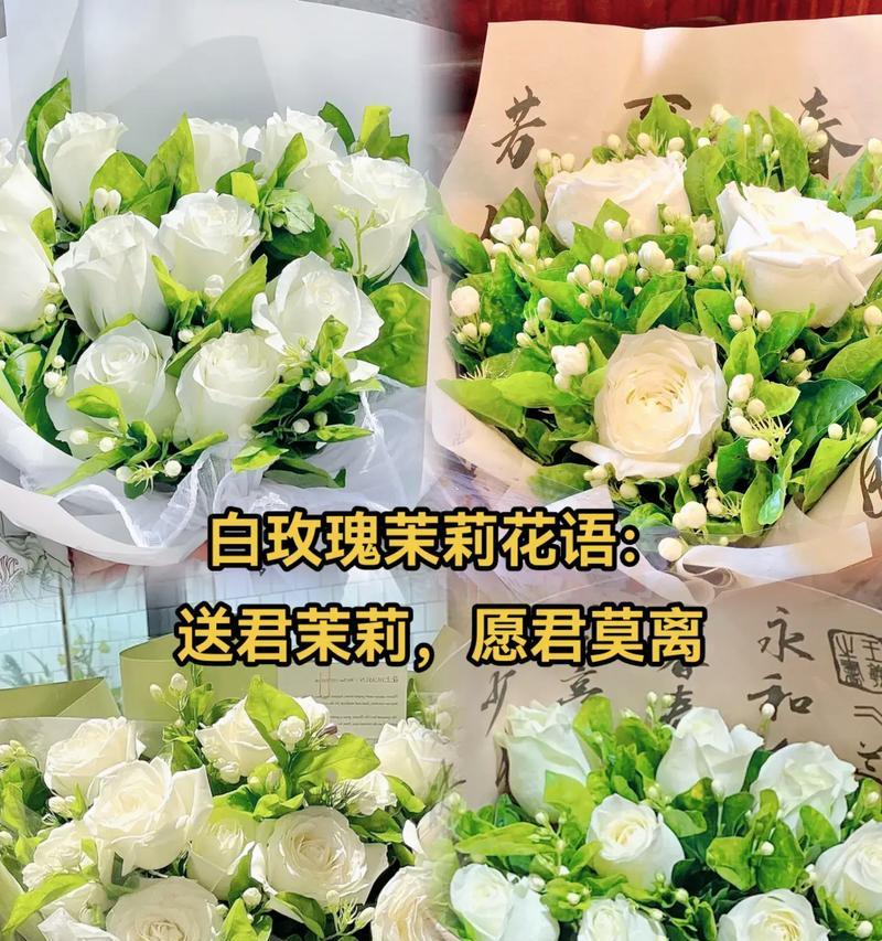 白玫瑰与茉莉搭配的花语含义是什么？