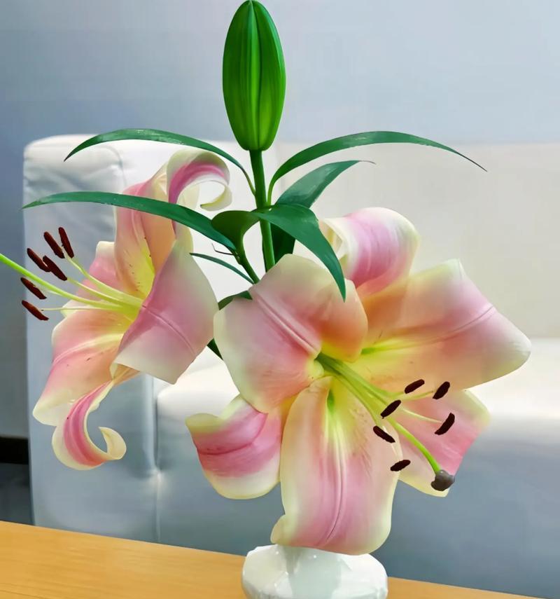 百合花适合送给谁？送百合花的场合和对象有哪些？