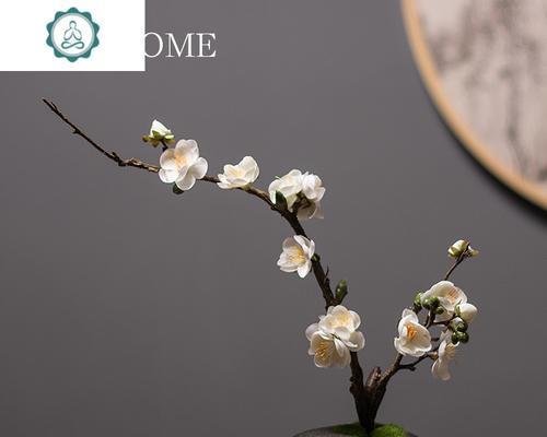 玄关花卉大摆件的含义是什么？
