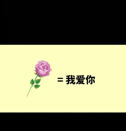 玫瑰花的数目不同，含义有何不同？