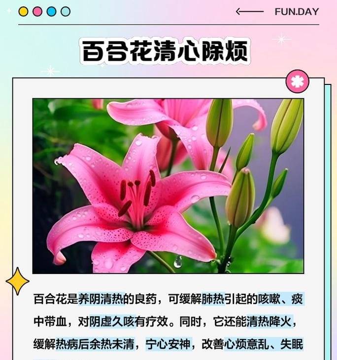 纯白百合的花语代表什么？