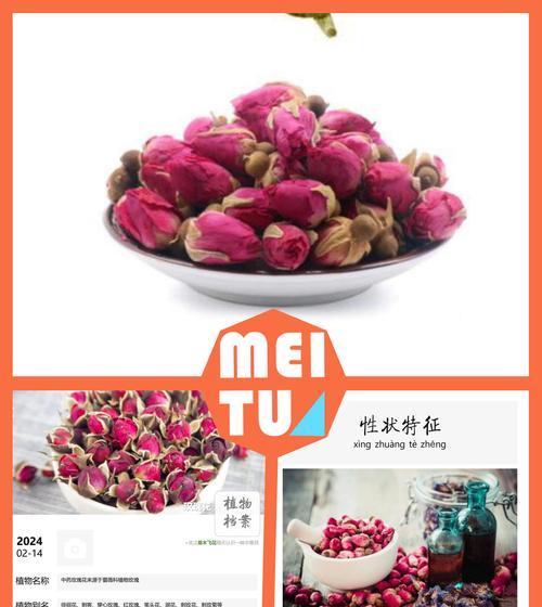 收到玫瑰花以前是什么意思？它在传统中代表了什么？