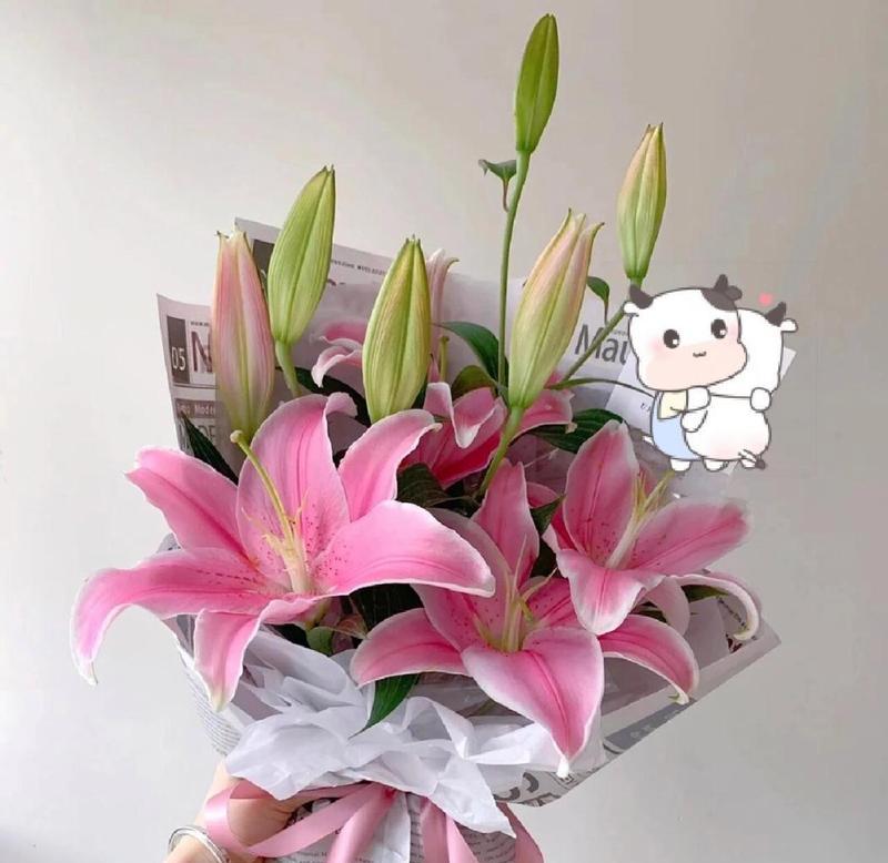 百合花象征着什么？它的花语有哪些？