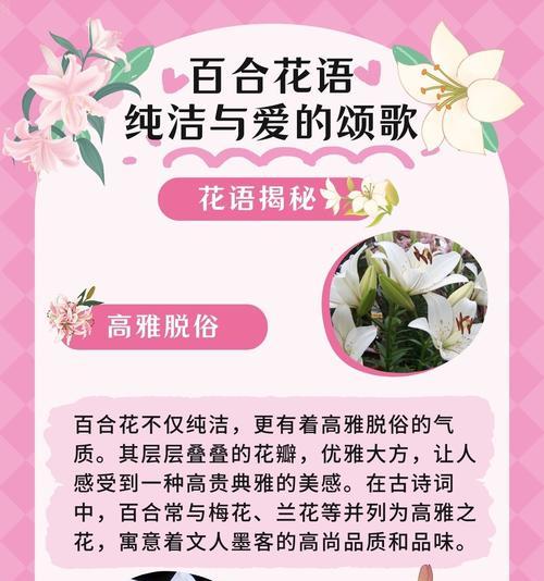 黄色百合与粉白色搭配的含义是什么？它们共同传递了什么信息？