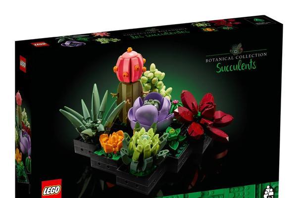玩具植物套餐有哪些选择？如何挑选适合的套餐？