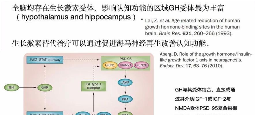 iaa植物激素是什么？它在植物生长中起什么作用？