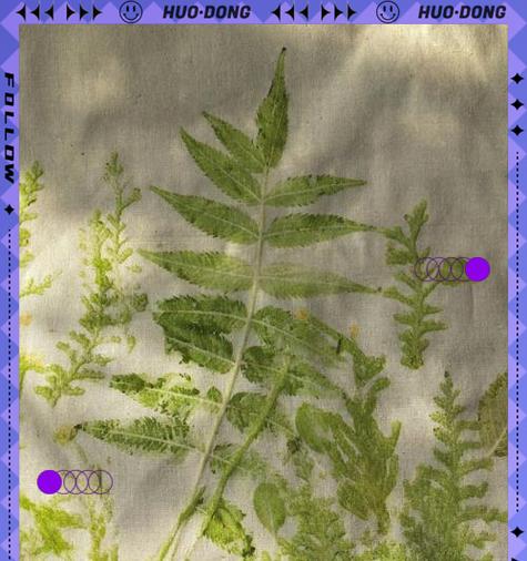 哪些草本植物可以用来染色？草本植物染色的方法有哪些？