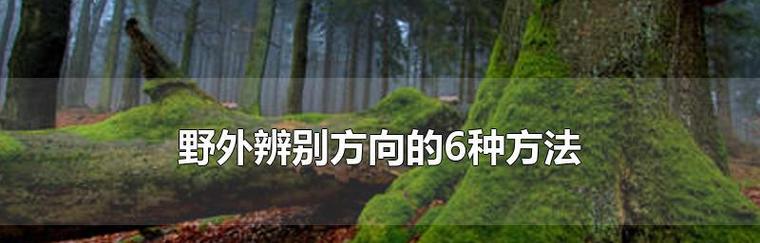 野地植物的识别方法是什么？