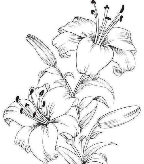 工笔花叶百合花的养护技巧有哪些？如何保持其美观？