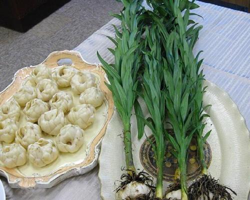 室内百合怎么种植？如何保证其健康生长？
