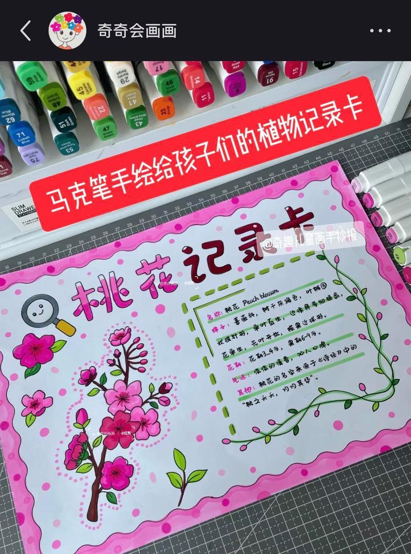 植物记录应该包含哪些信息？