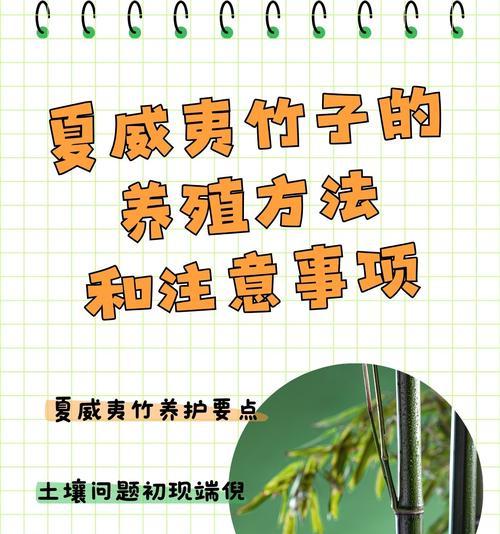 客厅水中植物的正确养护方法是什么？