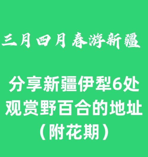 新疆特色百合种植条件是什么？如何确保百合健康成长？