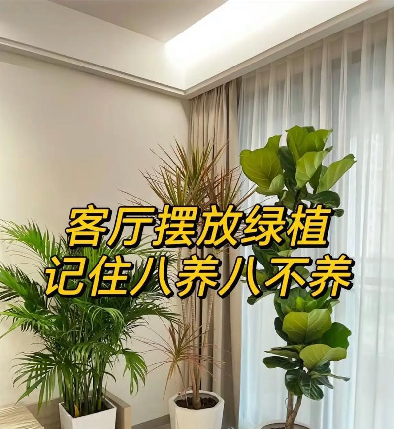新家养什么植物好？如何选择适合的室内植物？