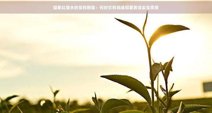 植物配方洗护物品的保质期是多久？如何正确保存？