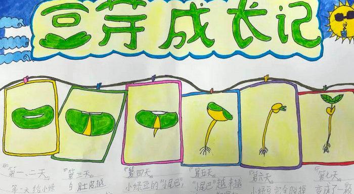 植物发射器的生长过程是怎样的？