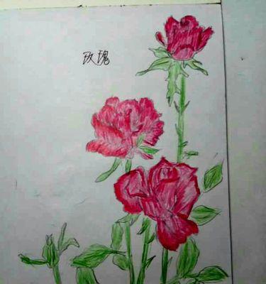 彩卡植物绘画技巧有哪些？