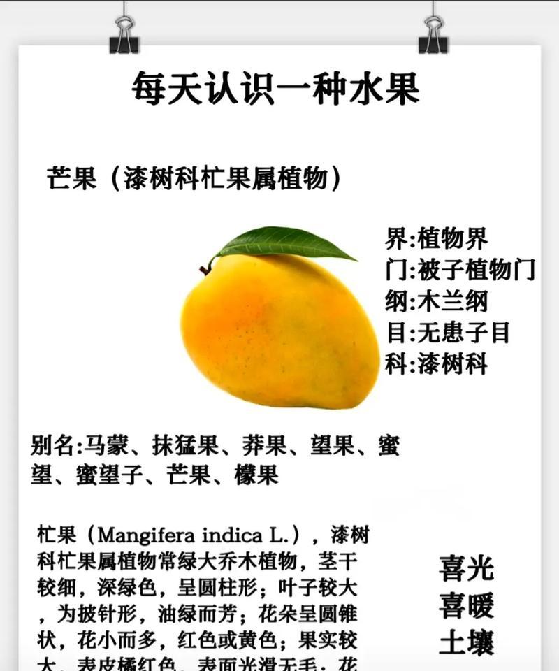 芒果家里盆栽怎么养护？这种盆栽需要特别的照顾吗？