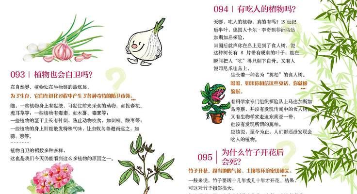 绘本中出现的植物有哪些？它们各自有什么特点？