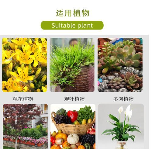 花卉活力素101有何作用？如何正确使用花卉活力素？