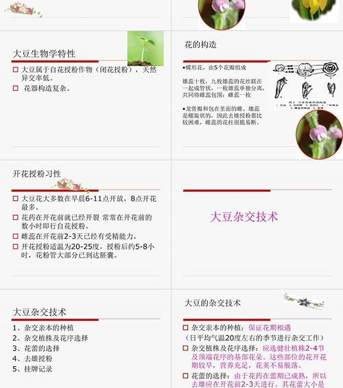 杂交植物的使用方法是什么？如何正确选择杂交版植物？