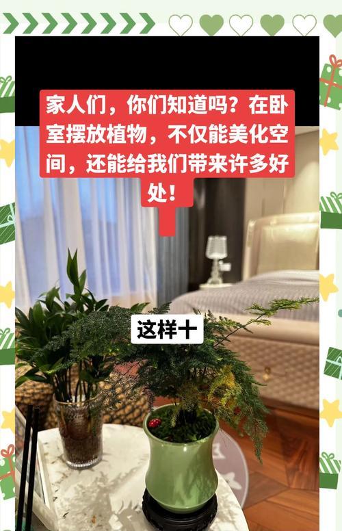 房间内适合摆放哪些植物？它们有哪些好处？