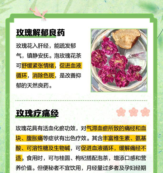 红玫瑰香百合怎么养护好？如何保持其香气？