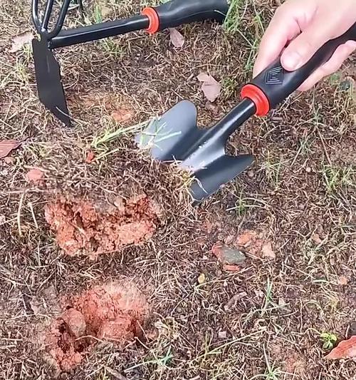植物种植铲子使用方法是什么？如何正确挑选铲子？
