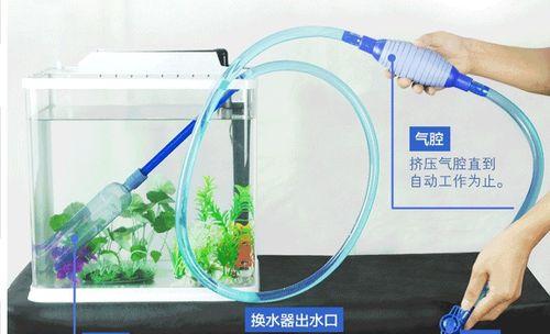 植物缸换水频率是多少？多久换一次水最合适？