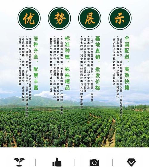 庭院花卉如何耐旱？耐旱措施有哪些？