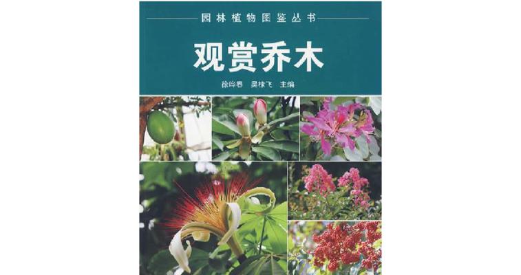 乔木大花植物是什么植物？如何选择适合园林的乔木？