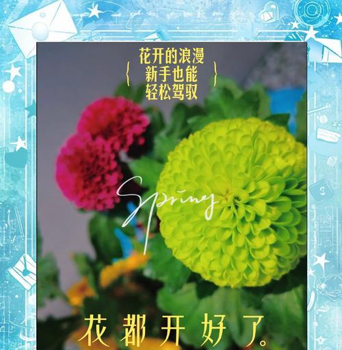 植物最全病害有哪些呢？如何有效预防和治疗？