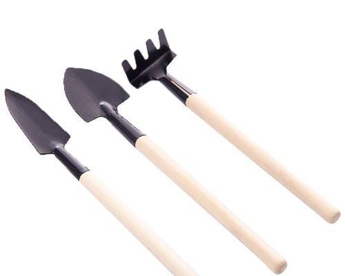 小盆栽种植工具的正确使用方法是什么？有哪些技巧？