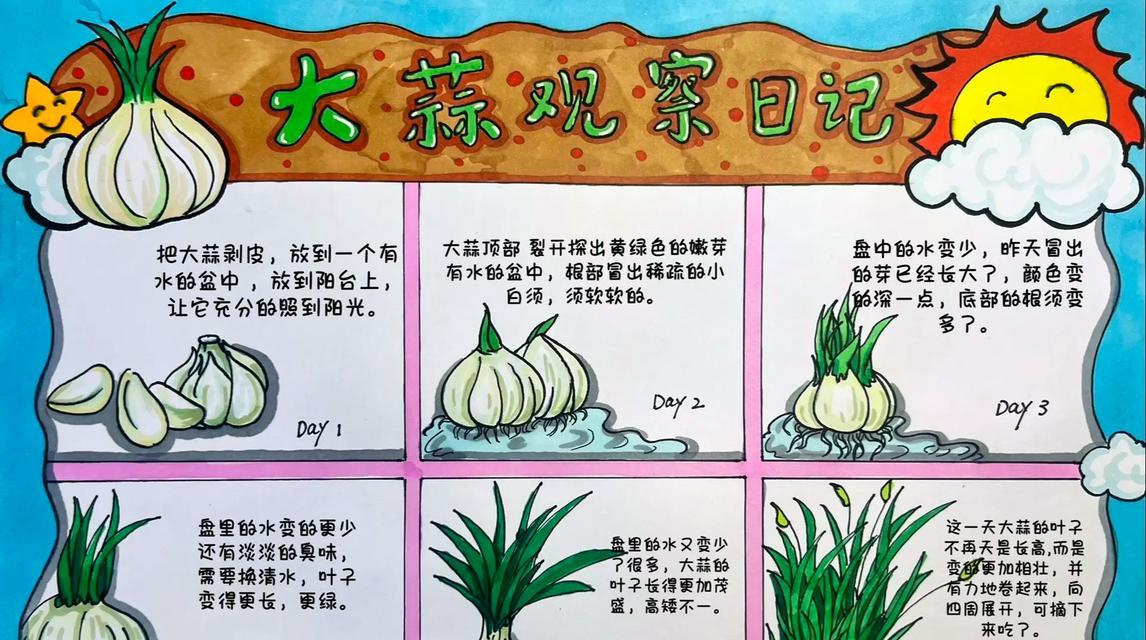 有哪些植物与大蒜相似？这些植物的用途是什么？